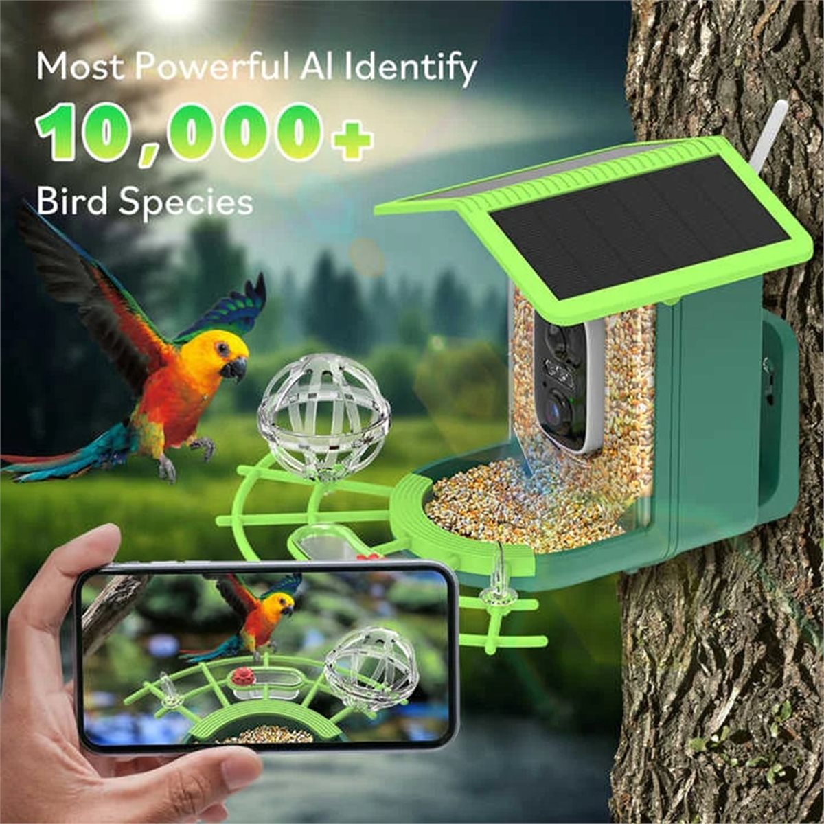 Умная камера-кормушка для птиц – обзор и цена Power Tools Ai